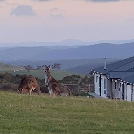 Rooks Edge Bed & Breakfast Gisborne Exterior foto