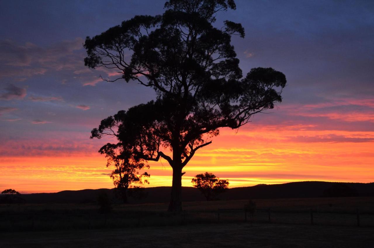 Rooks Edge Bed & Breakfast Gisborne Exterior foto