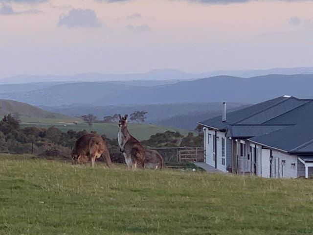 Rooks Edge Bed & Breakfast Gisborne Exterior foto